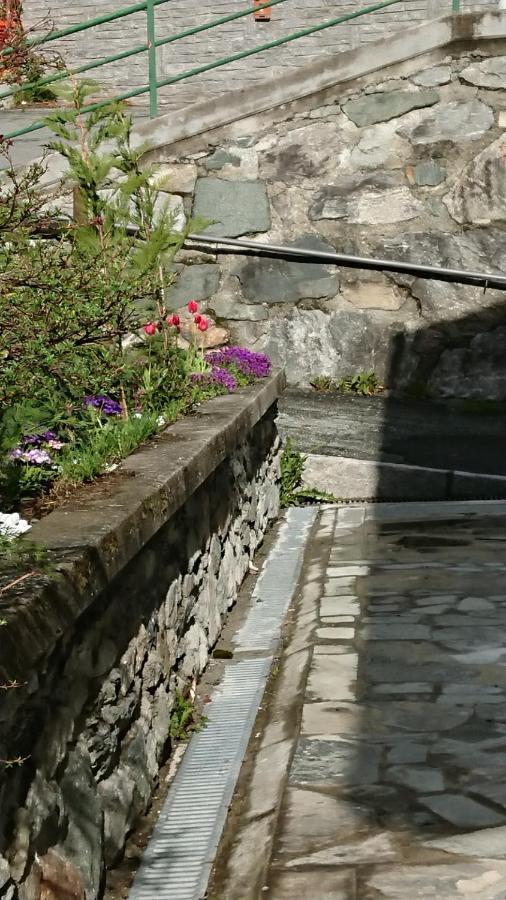 B&B Maison Odille Valtournenche Exteriér fotografie